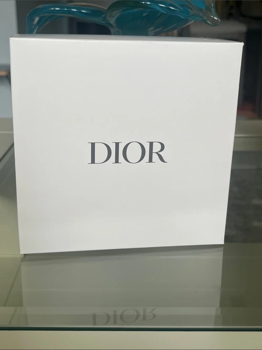 Dior Butterfly Embroidered Cosmetic Pouch CD Logo NIB